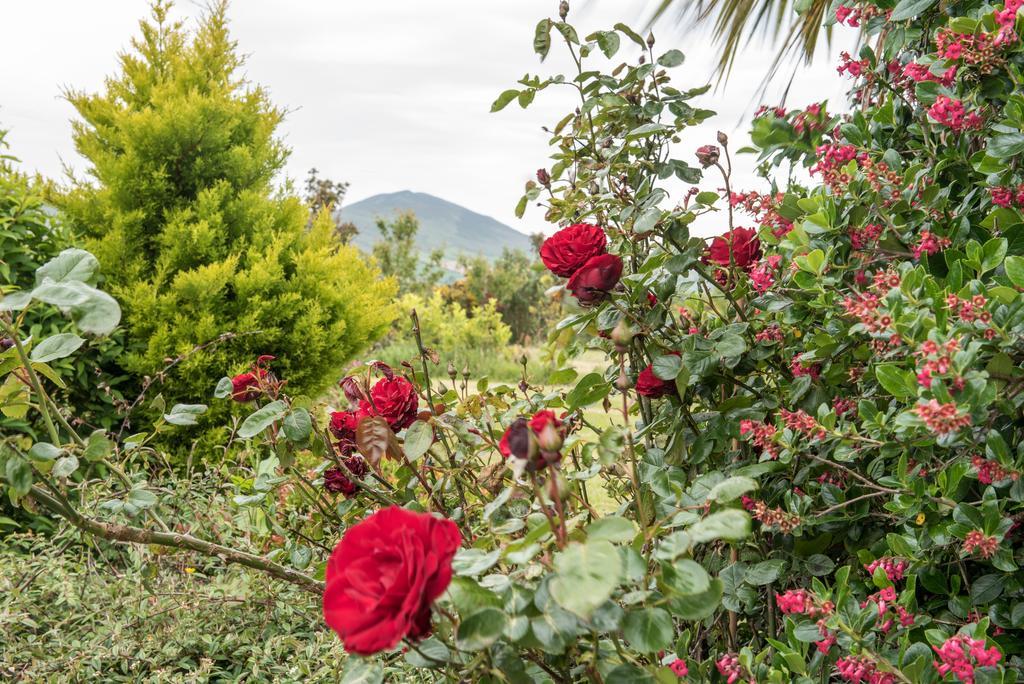 Restmore B&B Anascaul Kültér fotó